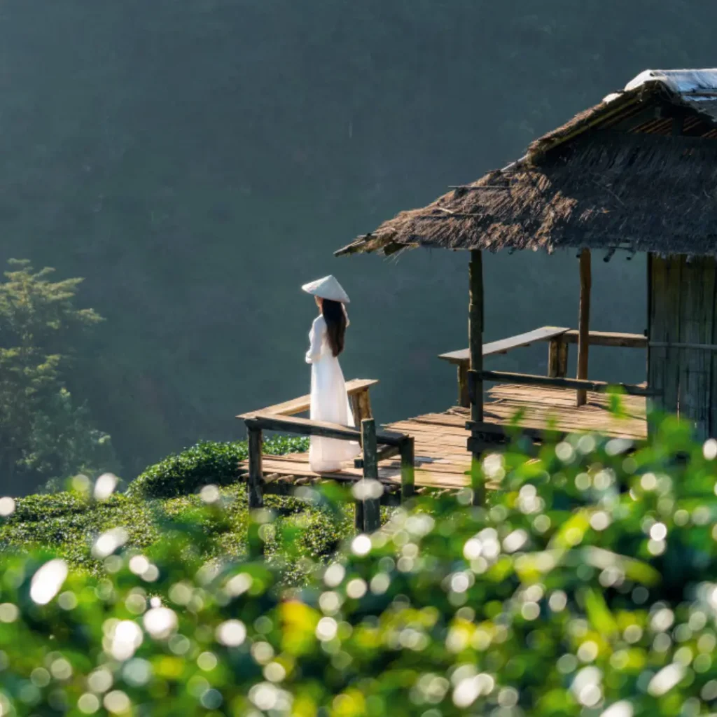 Beauty of Sapa & Halong Bay