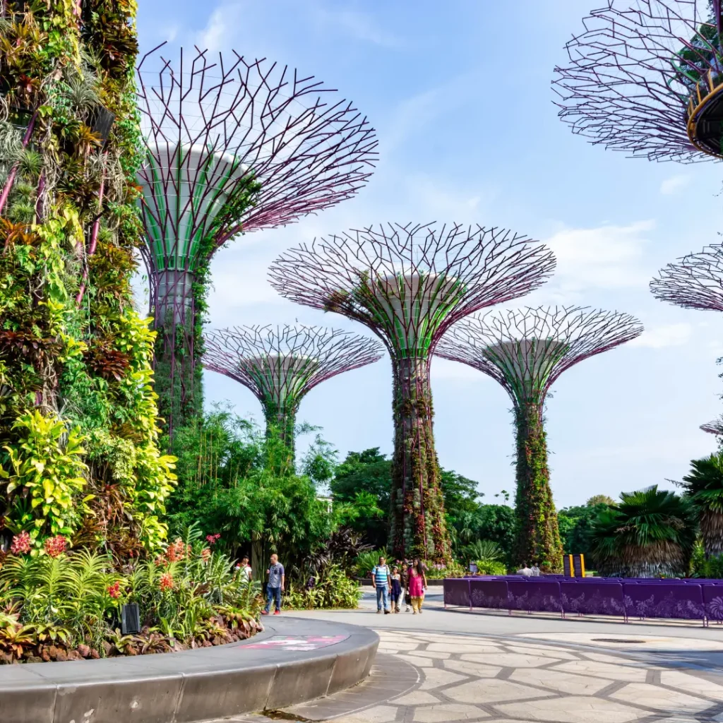 Free and Easy in Singapore