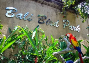 bali bird park reviews