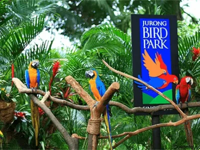 Bali Bird Park Reviews