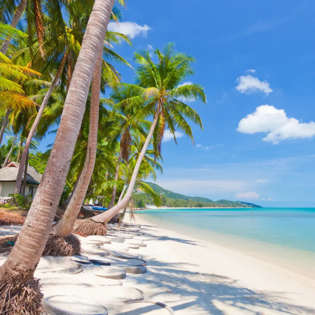 Phuket Koh Samui Tour