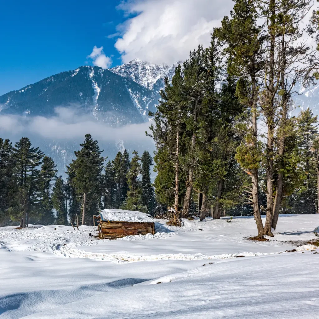 06 Days Kashmir Tour