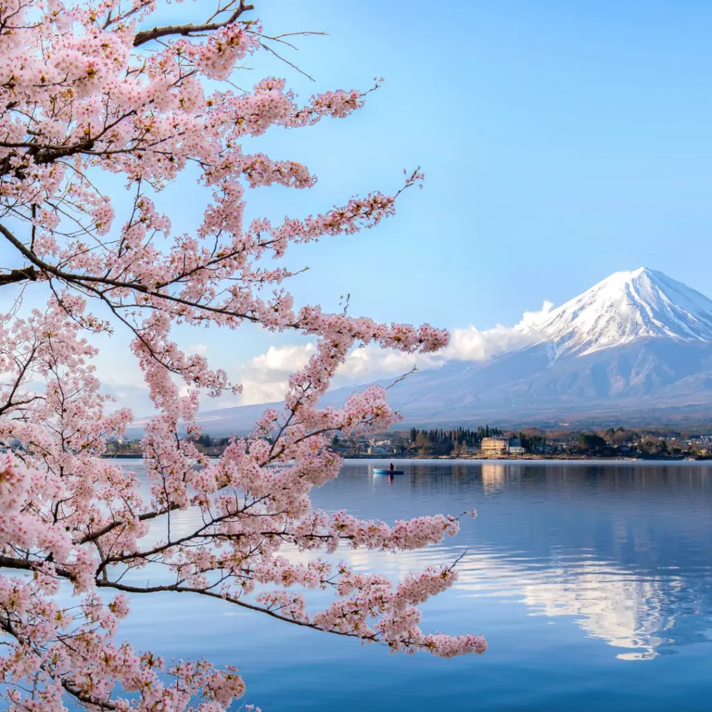 Japan Tokyo Tour