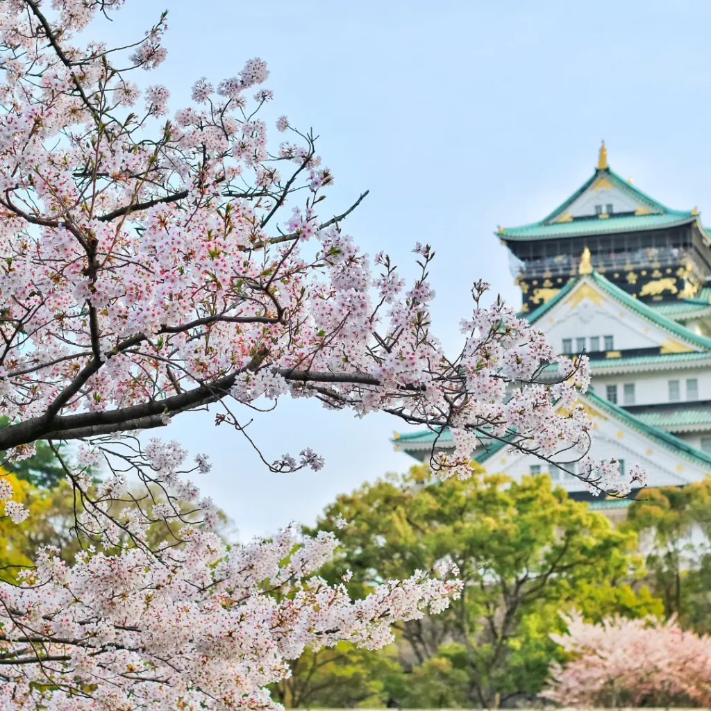 golden japan tour
